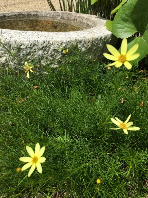 b0220002_08502987.jpeg