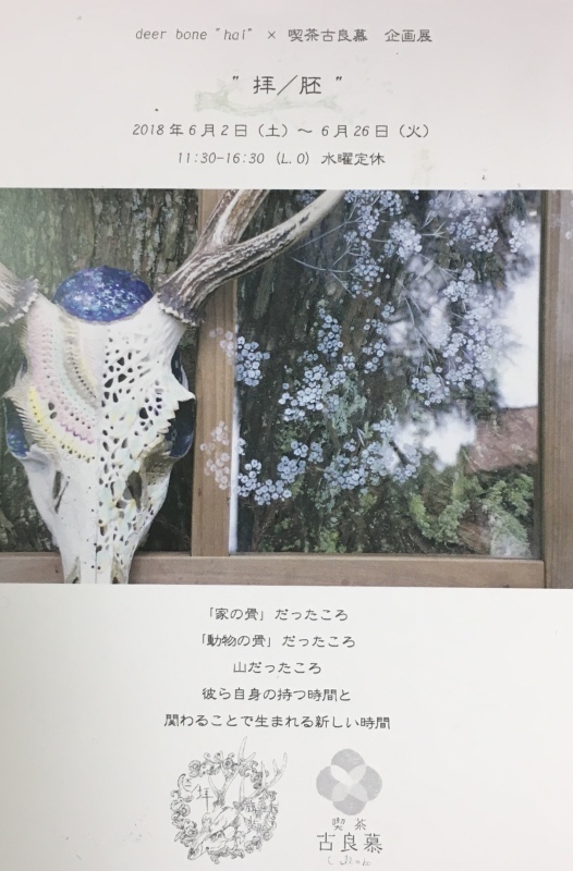 b0220002_23221850.jpeg