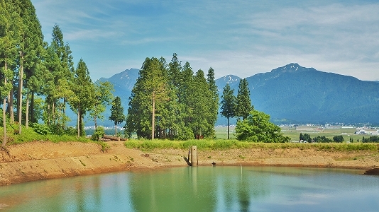 c0336902_17463036.jpg