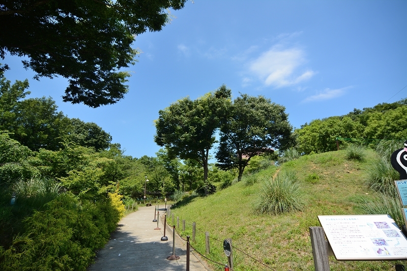 夏の始まり、梅雨の合間のペンギンヒルズ_a0164204_12480820.jpg