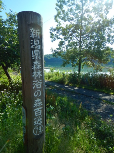 e0243008_19565694.jpg