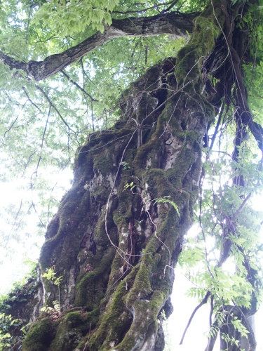 f0155808_12364012.jpg