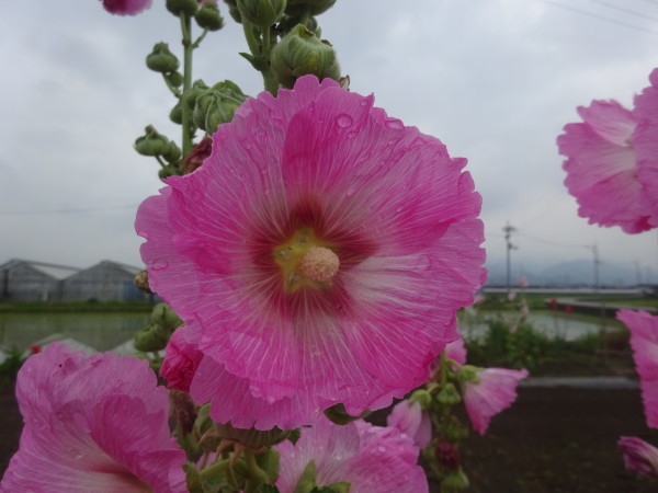f0231709_17290120.jpg