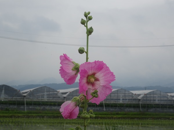 f0231709_17314724.jpg