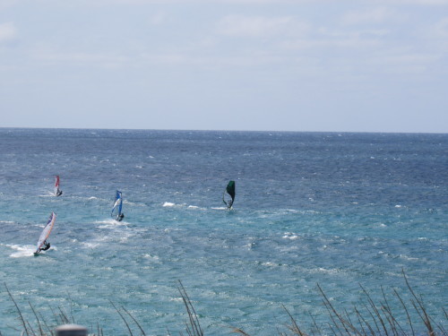 c0378111_20200216.jpg