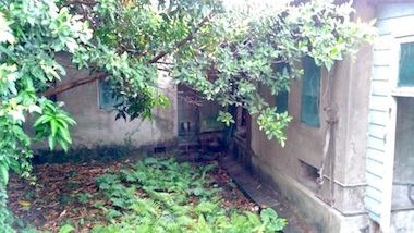 a0019212_16093981.jpeg