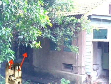 a0019212_16201977.jpeg