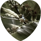 b0352112_23173624.png