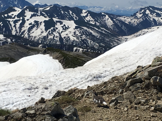 e0132713_09090810.jpg