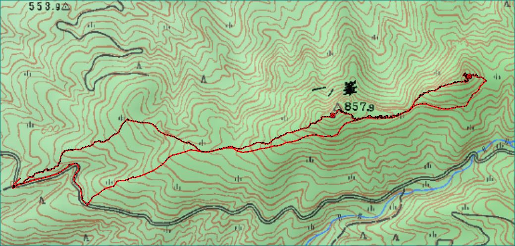 f0193521_43049.jpg