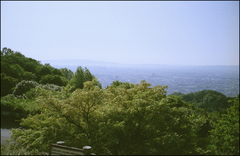 夏のコーラは格別　京都限定コーラ_c0176622_15250989.jpg