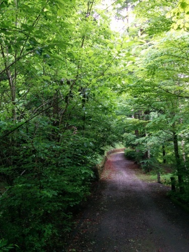 d0331029_22555373.jpeg