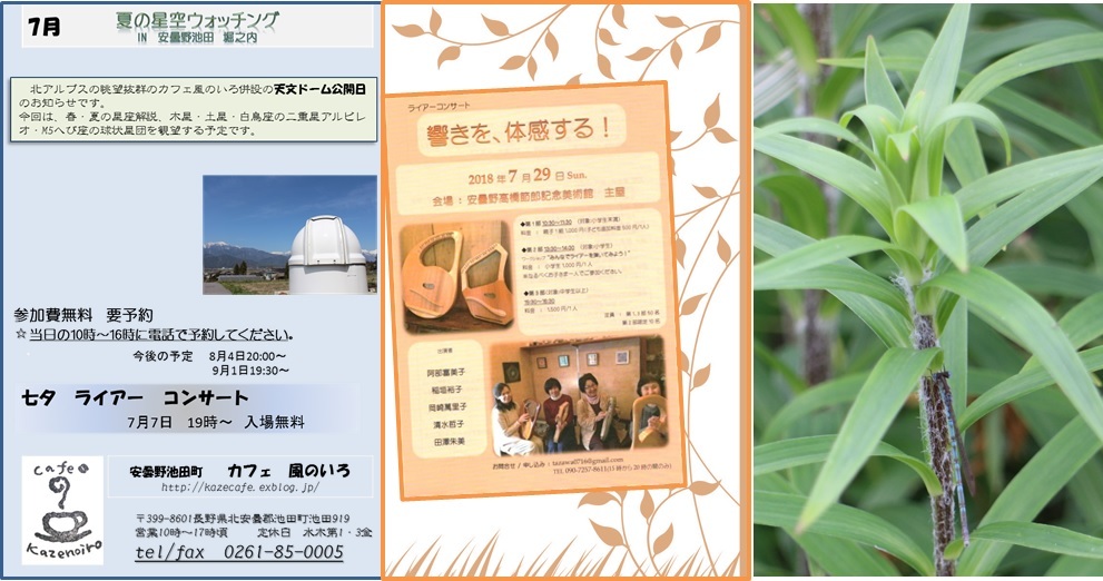 7月の星空ウォッチング&ライアーコンサート_a0212730_20324436.jpg