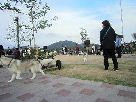 穴子オフ会 2018(2)_b0177436_23081884.jpg