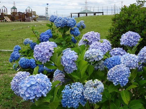b0299042_16210370.jpg