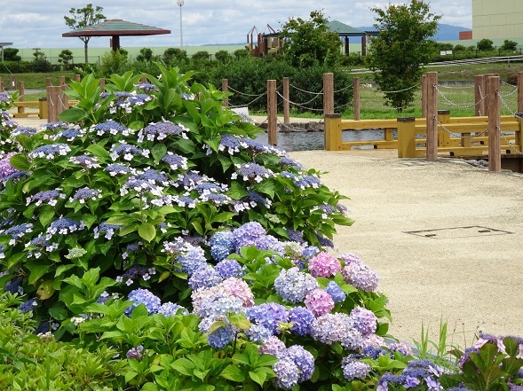 b0299042_16213710.jpg