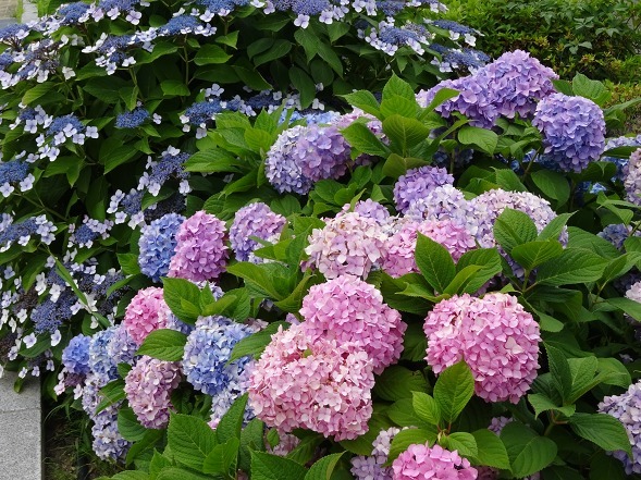 b0299042_16214811.jpg