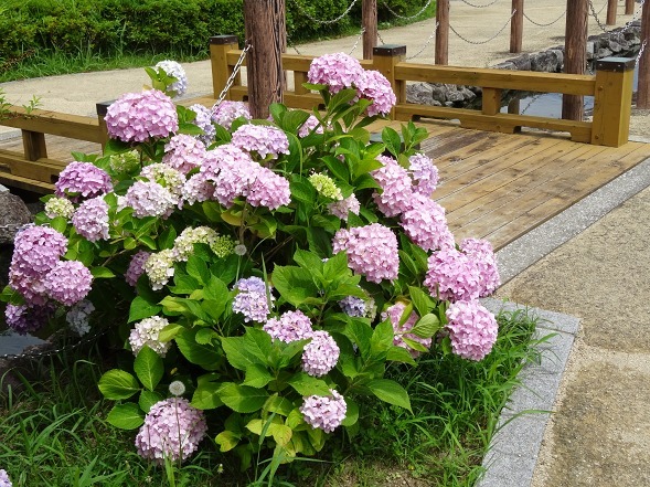 b0299042_16221157.jpg