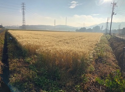 d0367842_08152608.jpg