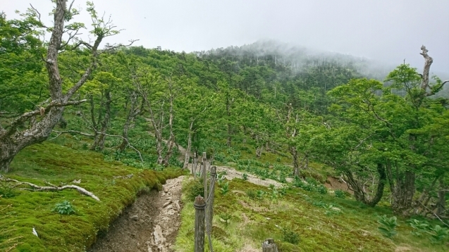 大峰　行者還トンネル東口〜弥山&八経　ピストン_b0148050_12295543.jpg