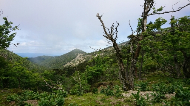 大峰　行者還トンネル東口〜弥山&八経　ピストン_b0148050_12295653.jpg