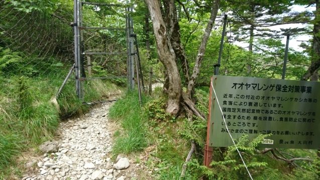 大峰　行者還トンネル東口〜弥山&八経　ピストン_b0148050_12300095.jpg