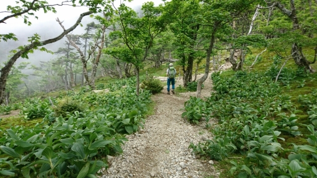 大峰　行者還トンネル東口〜弥山&八経　ピストン_b0148050_12332890.jpg