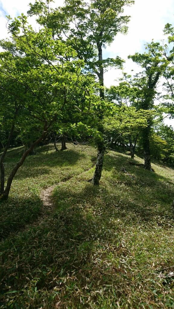 大峰　行者還トンネル東口〜弥山&八経　ピストン_b0148050_18254379.jpg