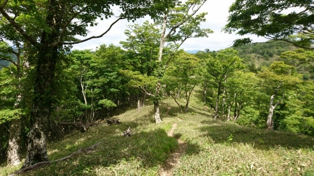 大峰　行者還トンネル東口〜弥山&八経　ピストン_b0148050_18254681.jpg