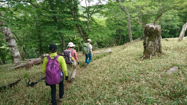 大峰　行者還トンネル東口〜弥山&八経　ピストン_b0148050_18254942.jpg