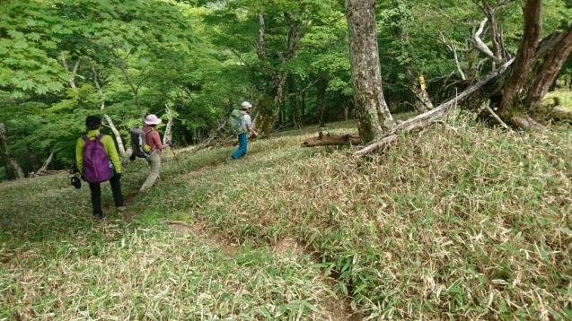 b0148050_18255196.jpg