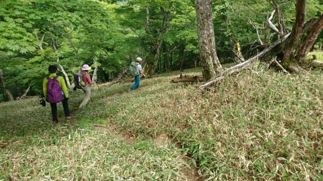 大峰　行者還トンネル東口〜弥山&八経　ピストン_b0148050_18255196.jpg