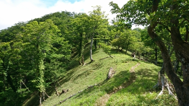 大峰　行者還トンネル東口〜弥山&八経　ピストン_b0148050_20545973.jpg