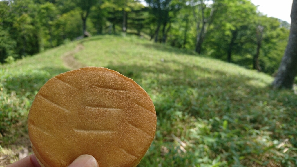 大峰　行者還トンネル東口〜弥山&八経　ピストン_b0148050_20550110.jpg