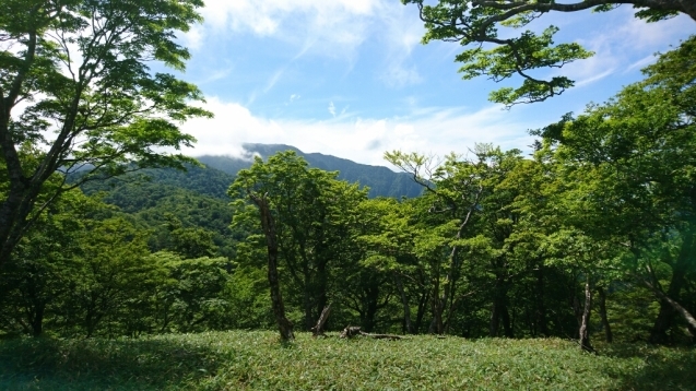 b0148050_20550350.jpg