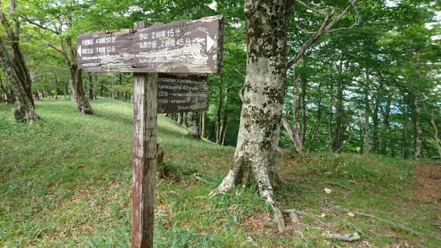 大峰　行者還トンネル東口〜弥山&八経　ピストン_b0148050_20550669.jpg