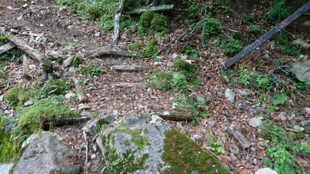 大峰　行者還トンネル東口〜弥山&八経　ピストン_b0148050_20550809.jpg