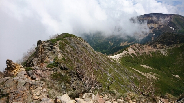 b0148050_21135299.jpg