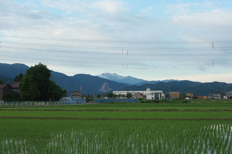 d0342652_9471570.jpg