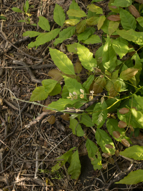 b0355958_00505430.jpg