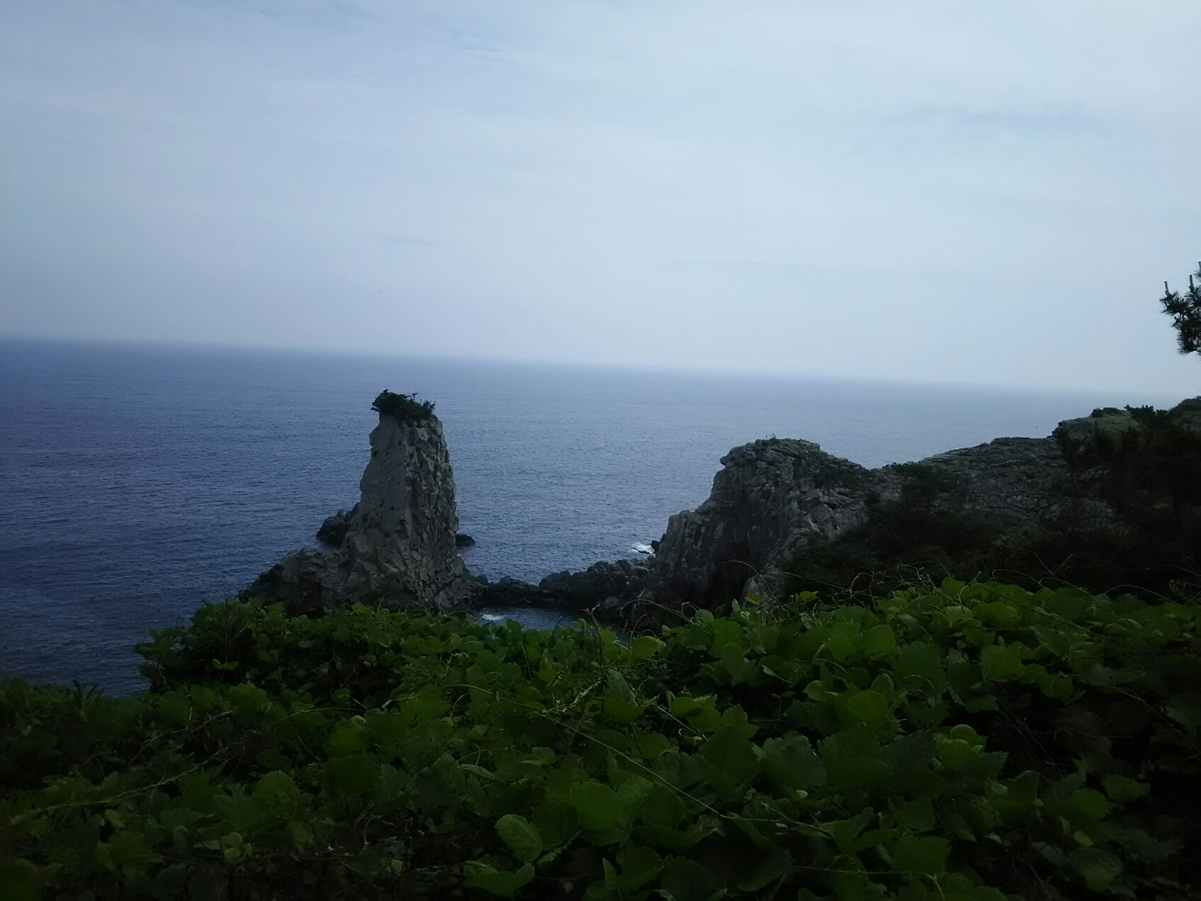 f0000262_14234517.jpg
