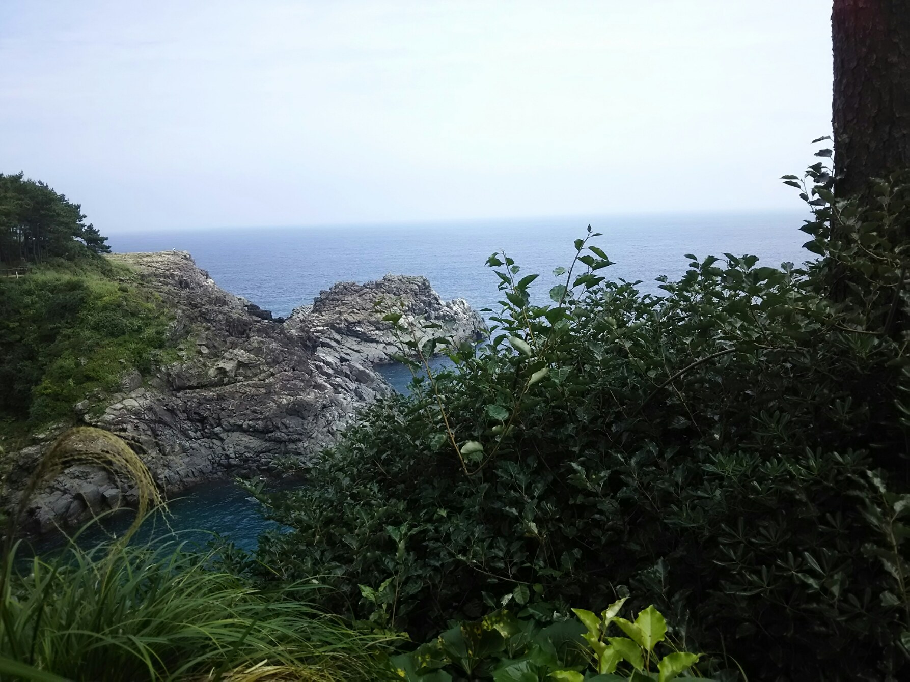 f0000262_14234590.jpg