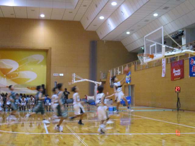 a0319565_12272604.jpeg