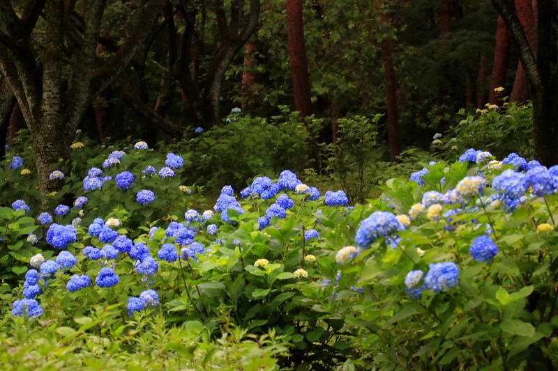 c0305565_17512713.jpg