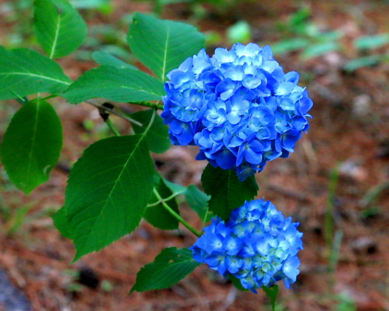c0305565_17521954.jpg