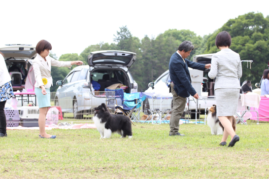 コリークラブ群馬65周年記念展_f0126965_23540073.jpg