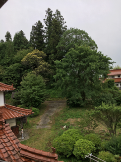 f0363168_08223316.png