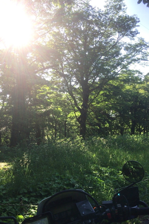 d0377780_18214323.jpg