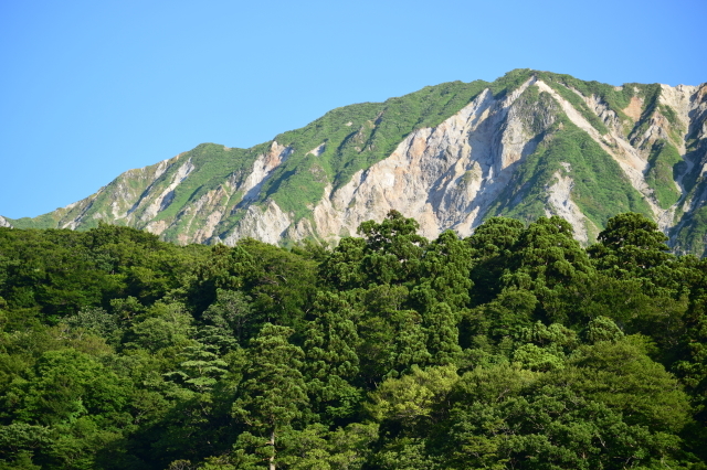 d0377780_18232184.jpg