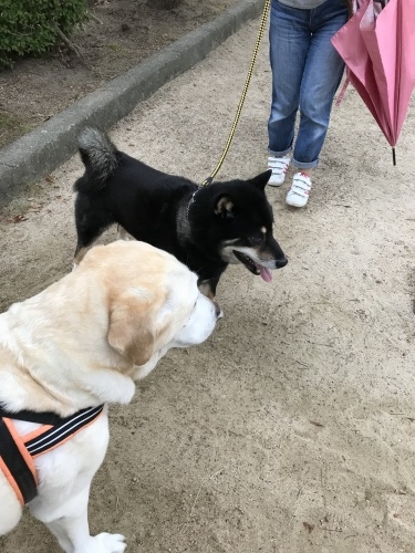 f0315081_22335097.jpeg
